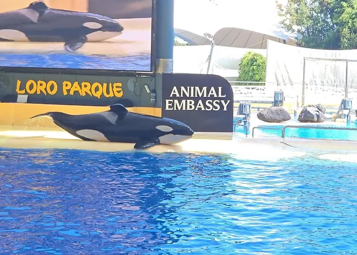 Lejlighed Blue Ocean Costa Adeje 504 Playa de las Américas