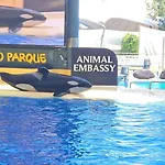 شقة Blue Ocean Costa Adeje 504 بلايا ذي لاس أميريكاس
