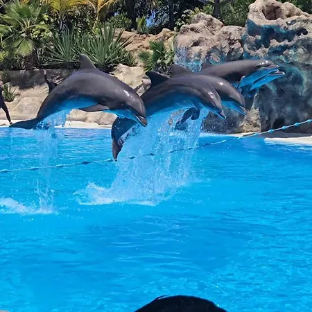 Blue Ocean Costa Adeje 504 * Playa de las Americas (Tenerife)