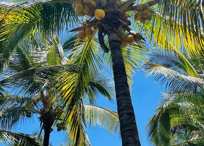 Blue Ocean Costa Adeje 504 Appartement *