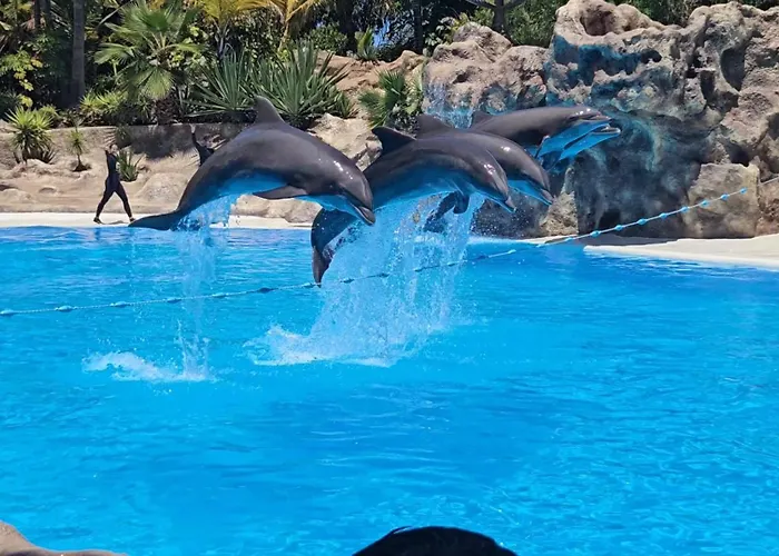 Blue Ocean Costa Adeje 504 * プラヤ・デ・ラス・アメリカス